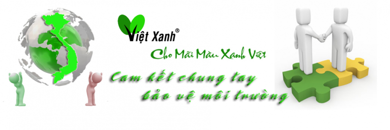 giới thiệu thông tắc Việt Xanh